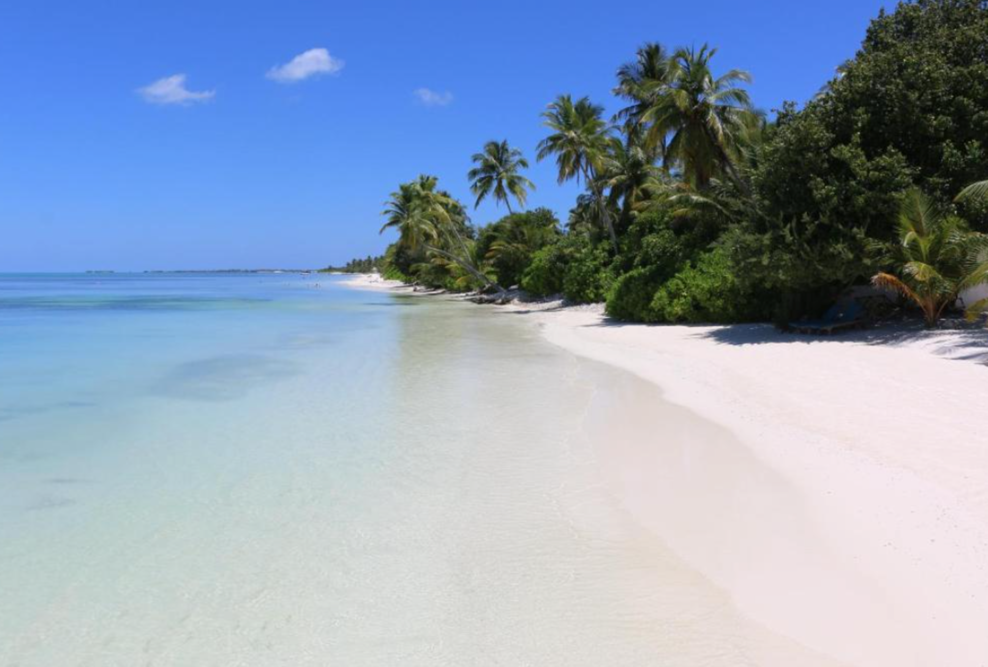 

Lamezia Terme - Atollo di Addu - Canareef Resort Maldives