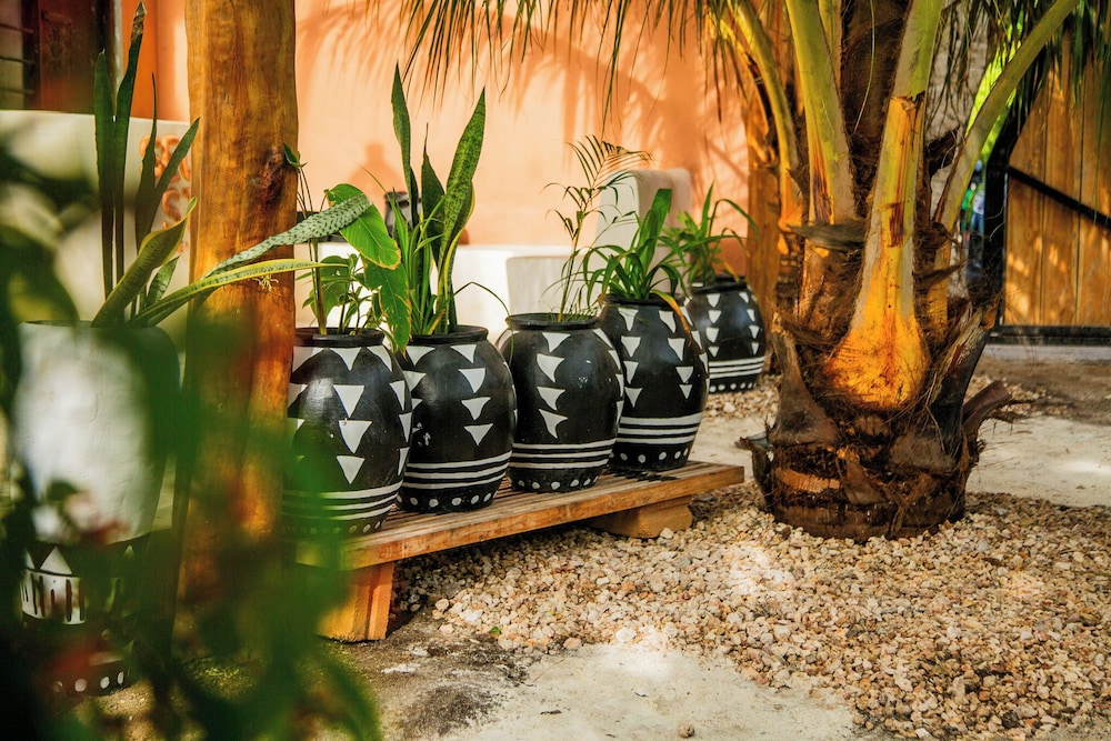 

Roma - Jambiani, Zanzibar