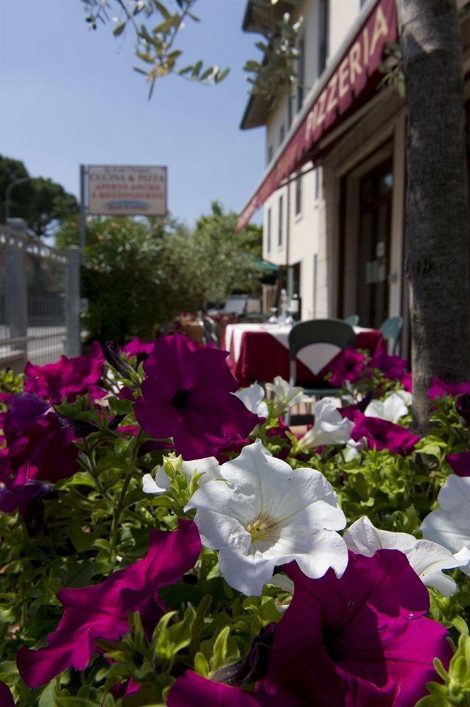 

Napoli - Castelnuovo del Garda - Hotel Scaligero