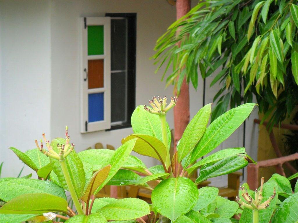 

Milano - Khao Lak - Khaolak Banana Bungalow