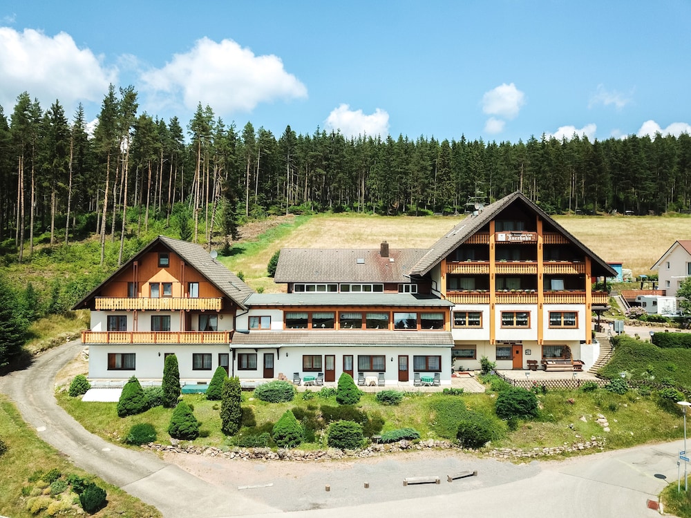 

Milano - Titisee-Neustadt - Auerhahn Bed and Breakfast - Black Forest - Waldhotel