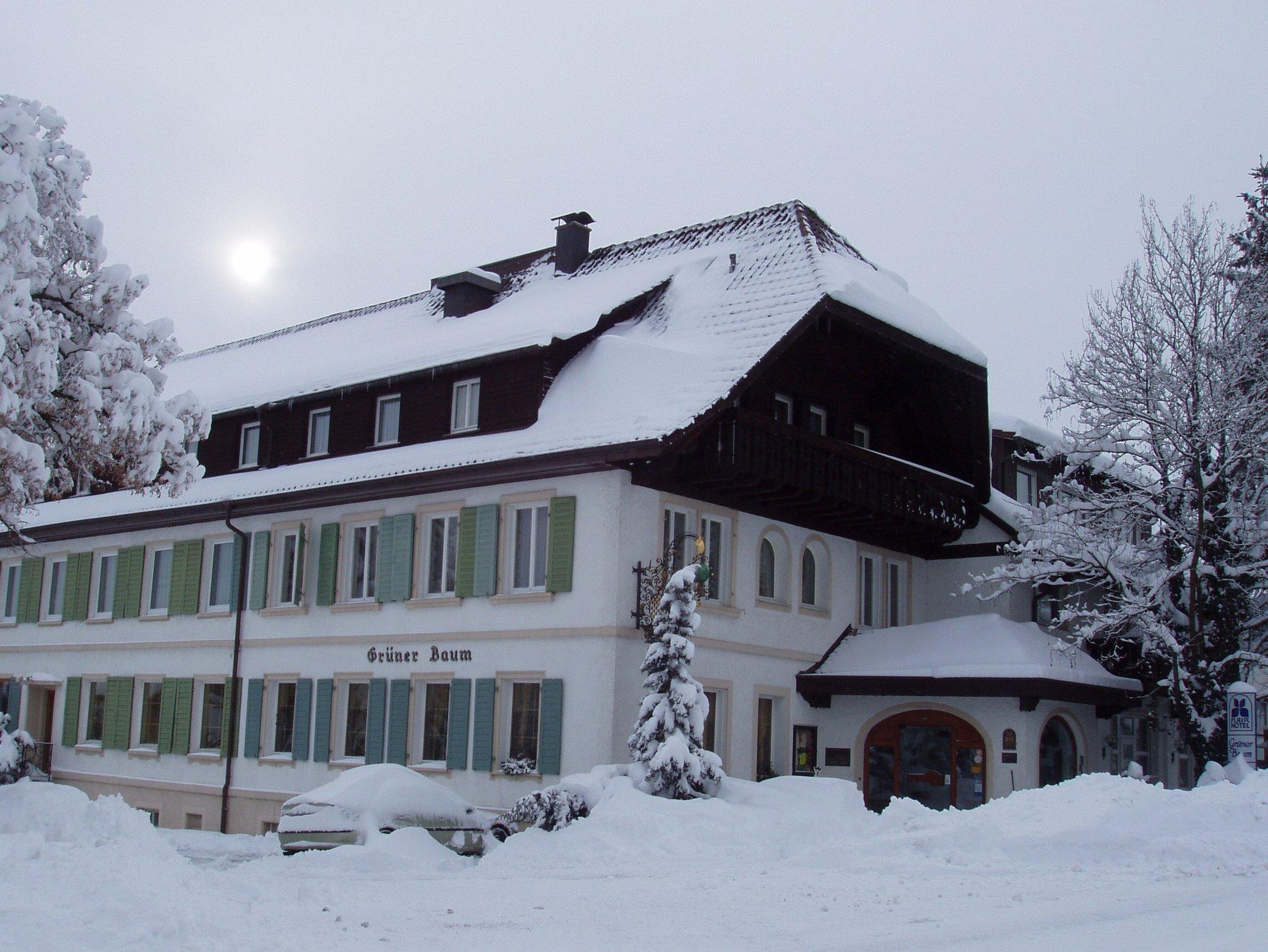 Donaueschingen - Flair Hotel Grüner Baum