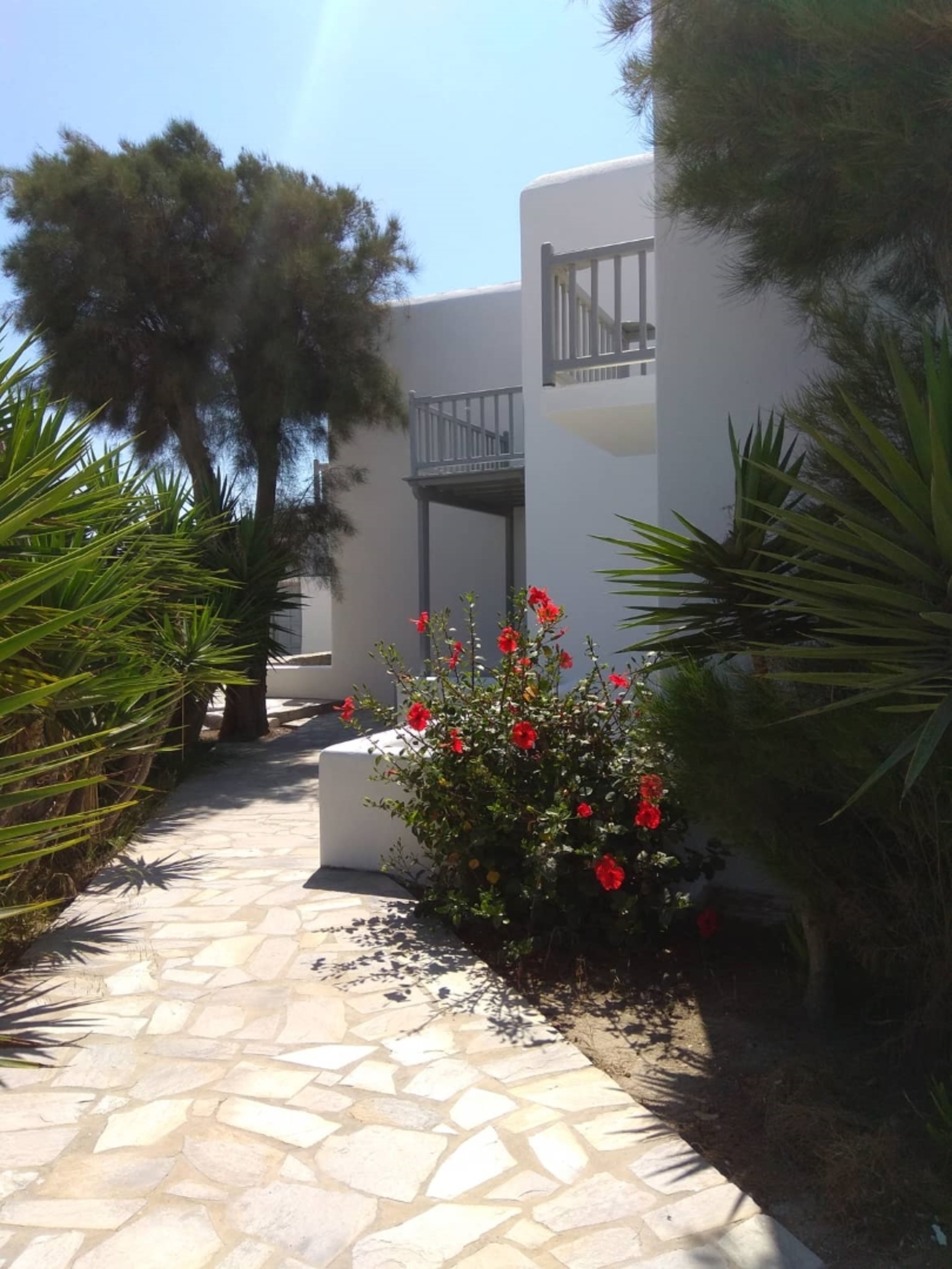

Bari - Mykonos, Isole Greche - Elena Studios & Suites