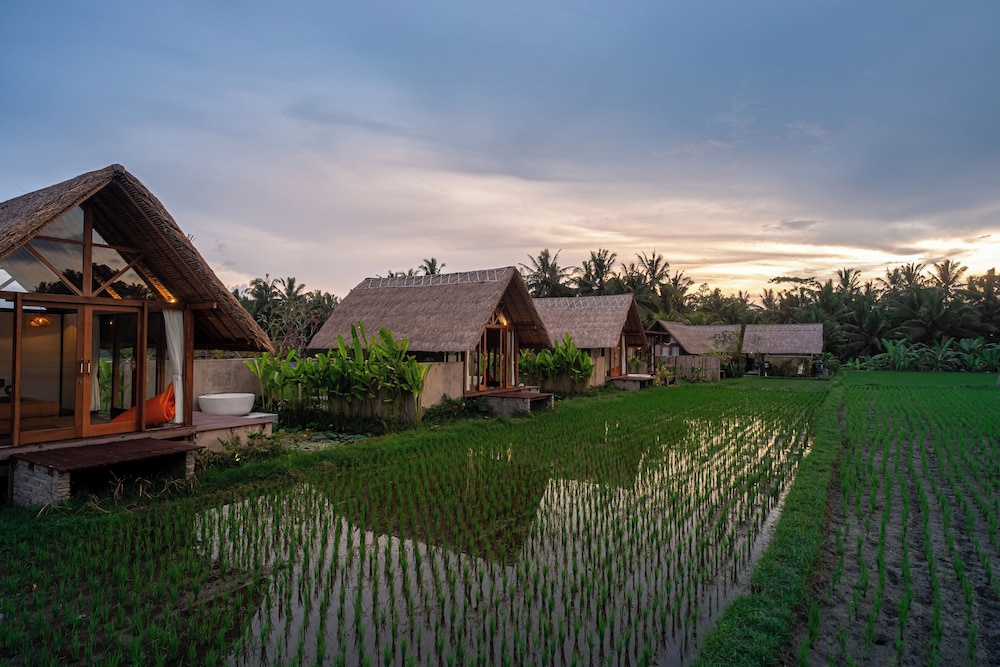 

Milano - Bali, Indonesia - Pondok Mawas
