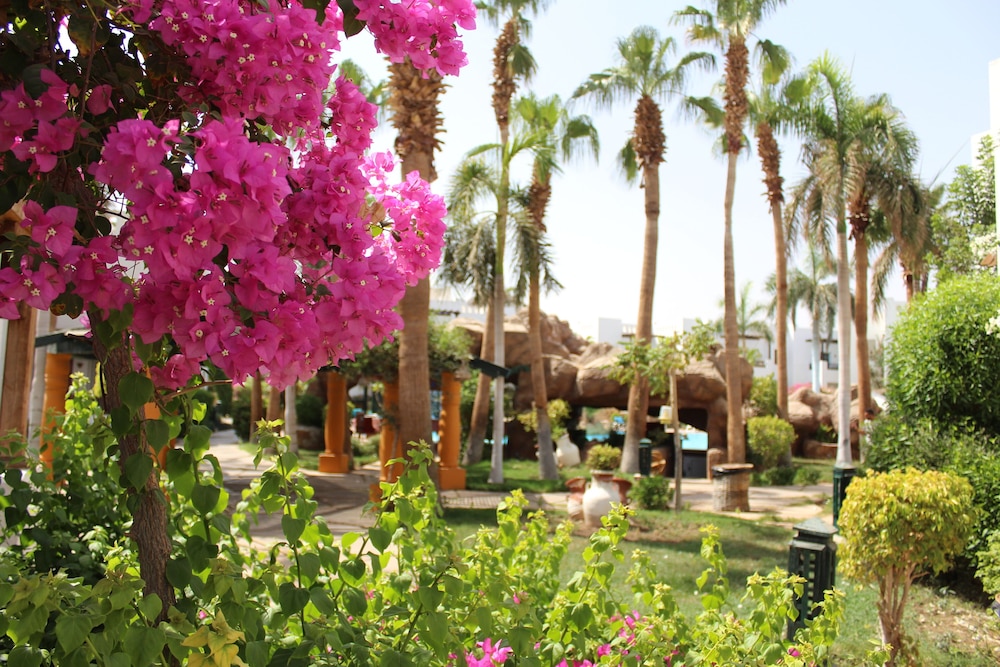 

Genova - Sharm El Sheikh - Herrmes Hospitality