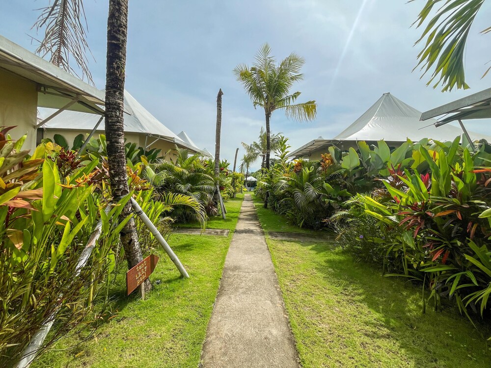 

Roma - Canggu - Paddy's Glamping