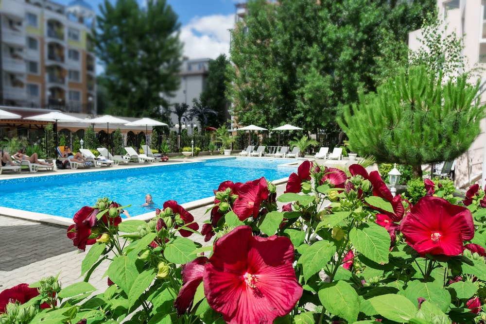 

Roma - Sunny Beach - Vanilla Garden Apartments