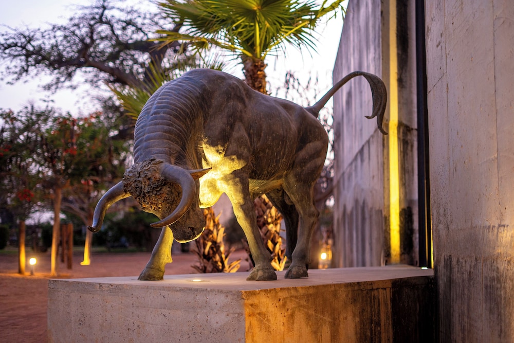 

Milano - Mbour - Casa del Toro Luxury Ranch