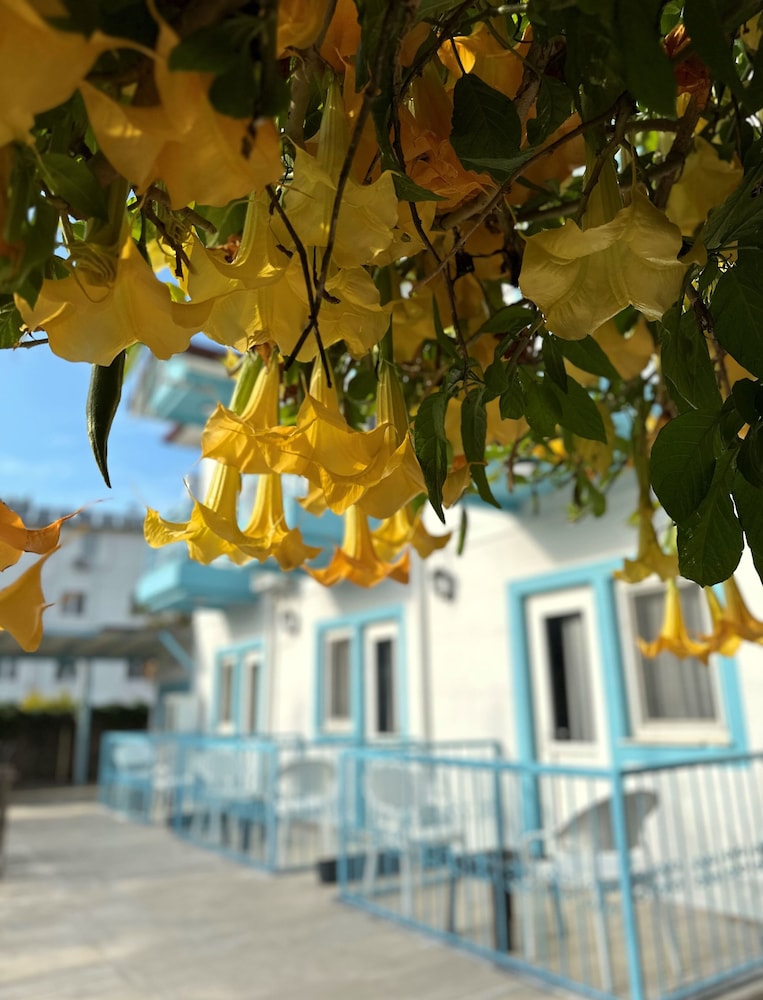 

Milano - Fethiye - enjoy hotel