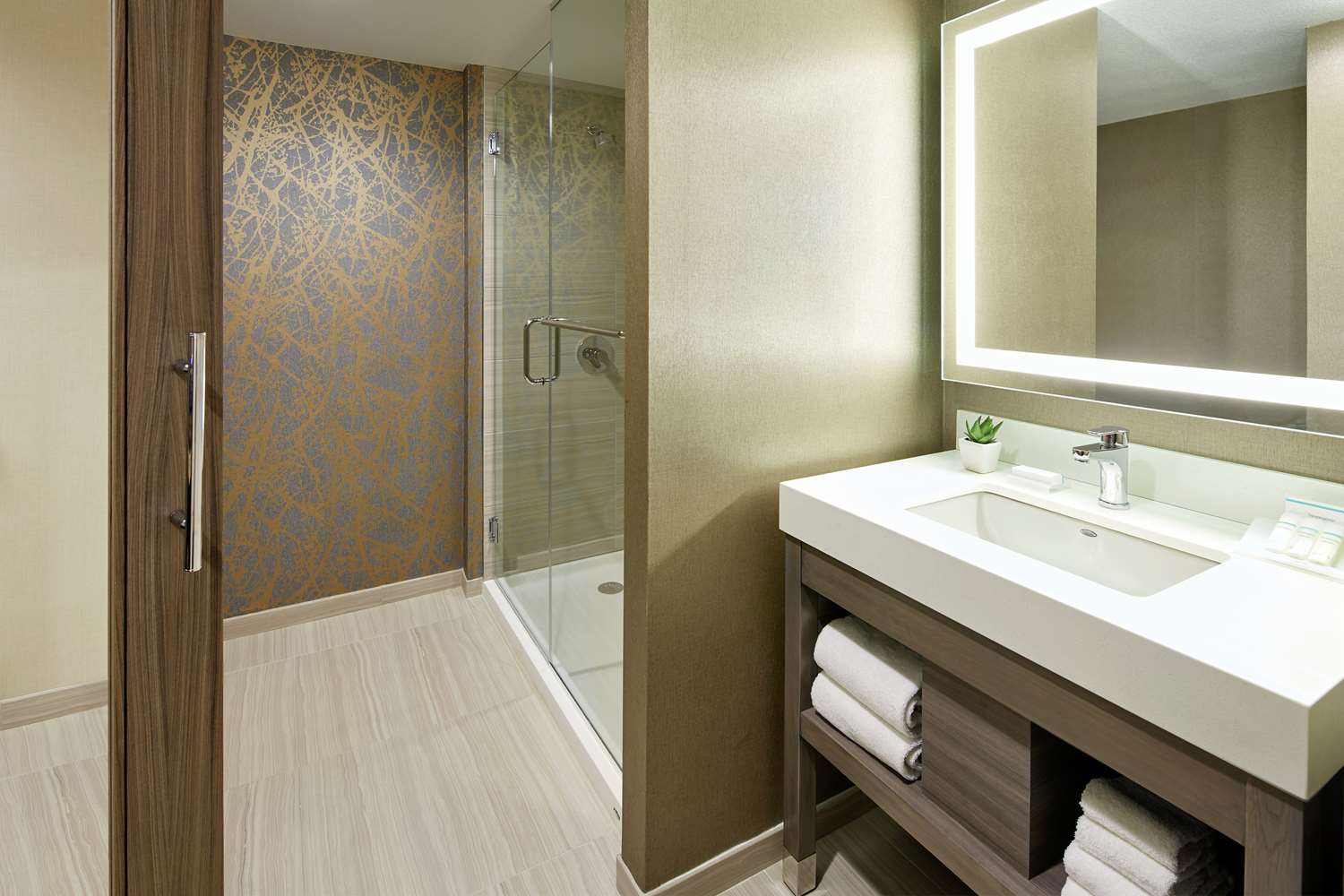 1 dormitorio suite