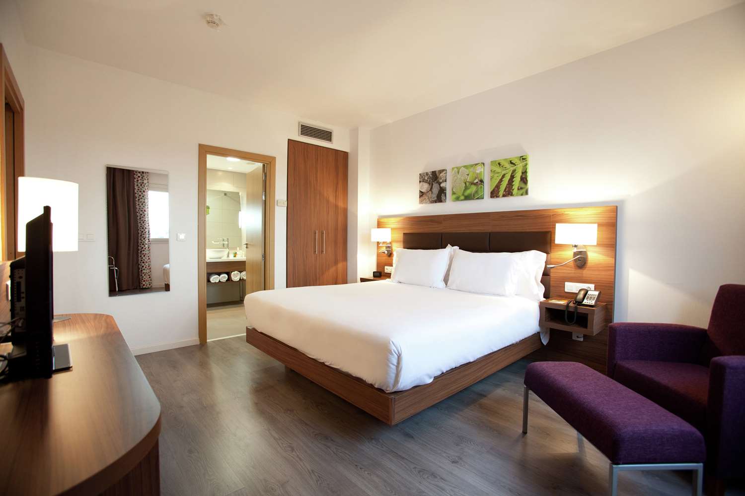 1 camera da letto suite