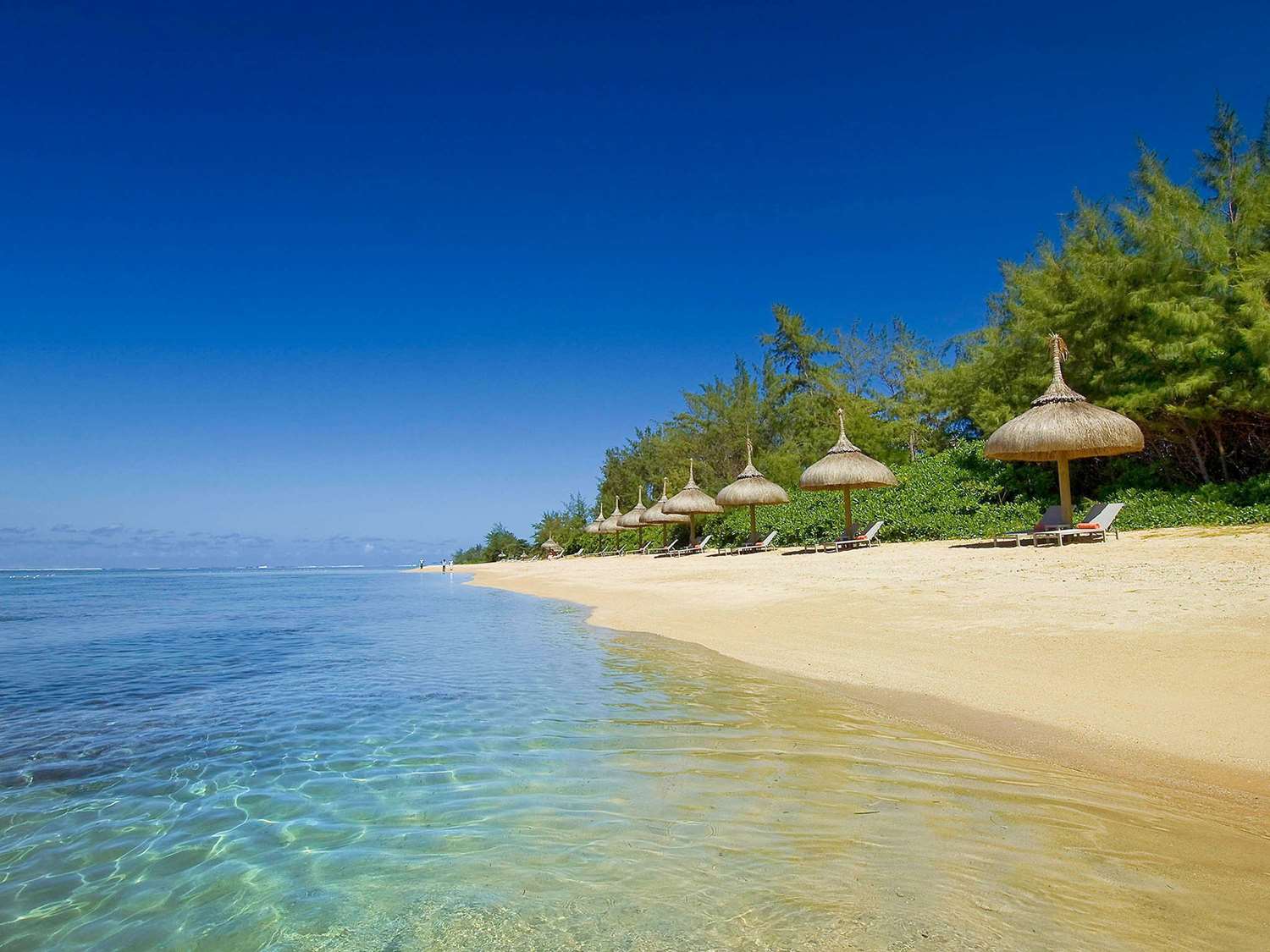 

Venezia - Bel Ombre - SO/ Sofitel Mauritius