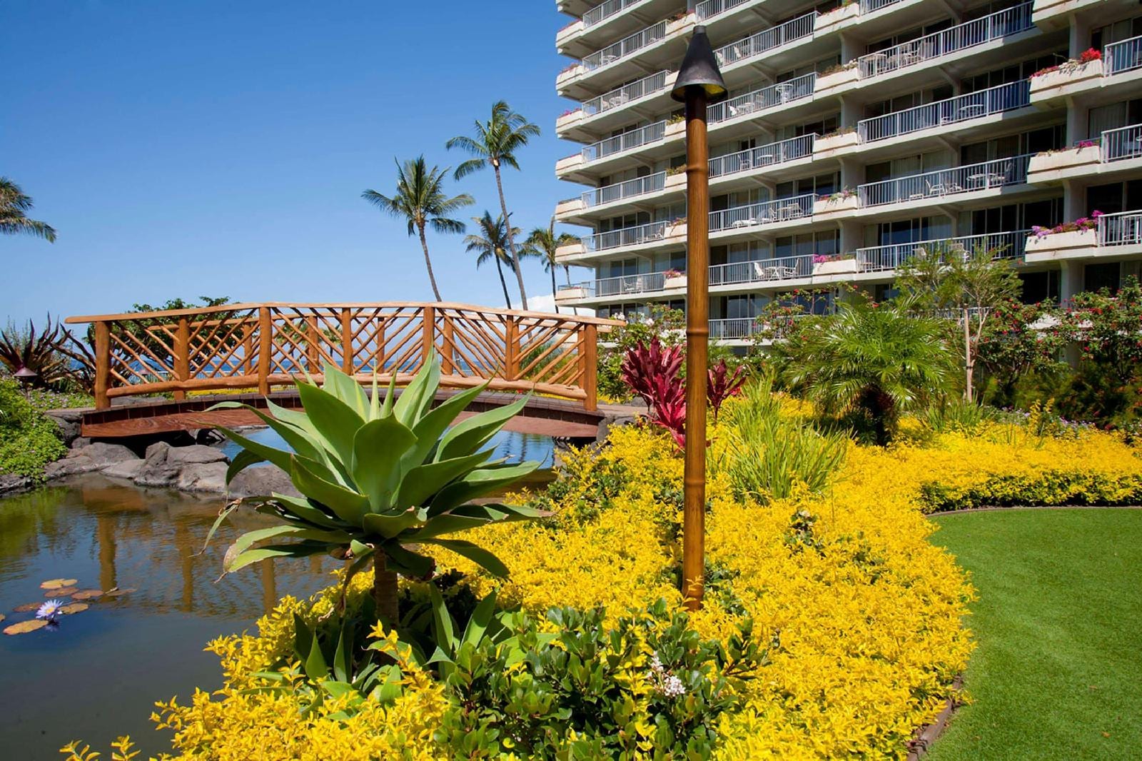 

Milano - Lahaina - Whaler 518 OceanView Studio Condo condo