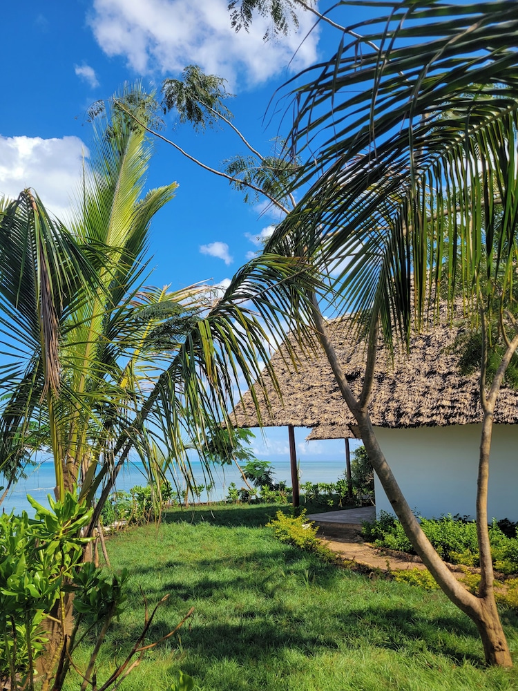 

Roma - Nungwi, Zanzibar - Kidoti Bay