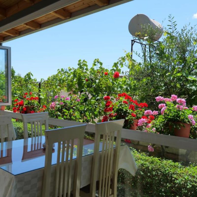 

Palermo - Costa albanese - Aleksander Aparthotel