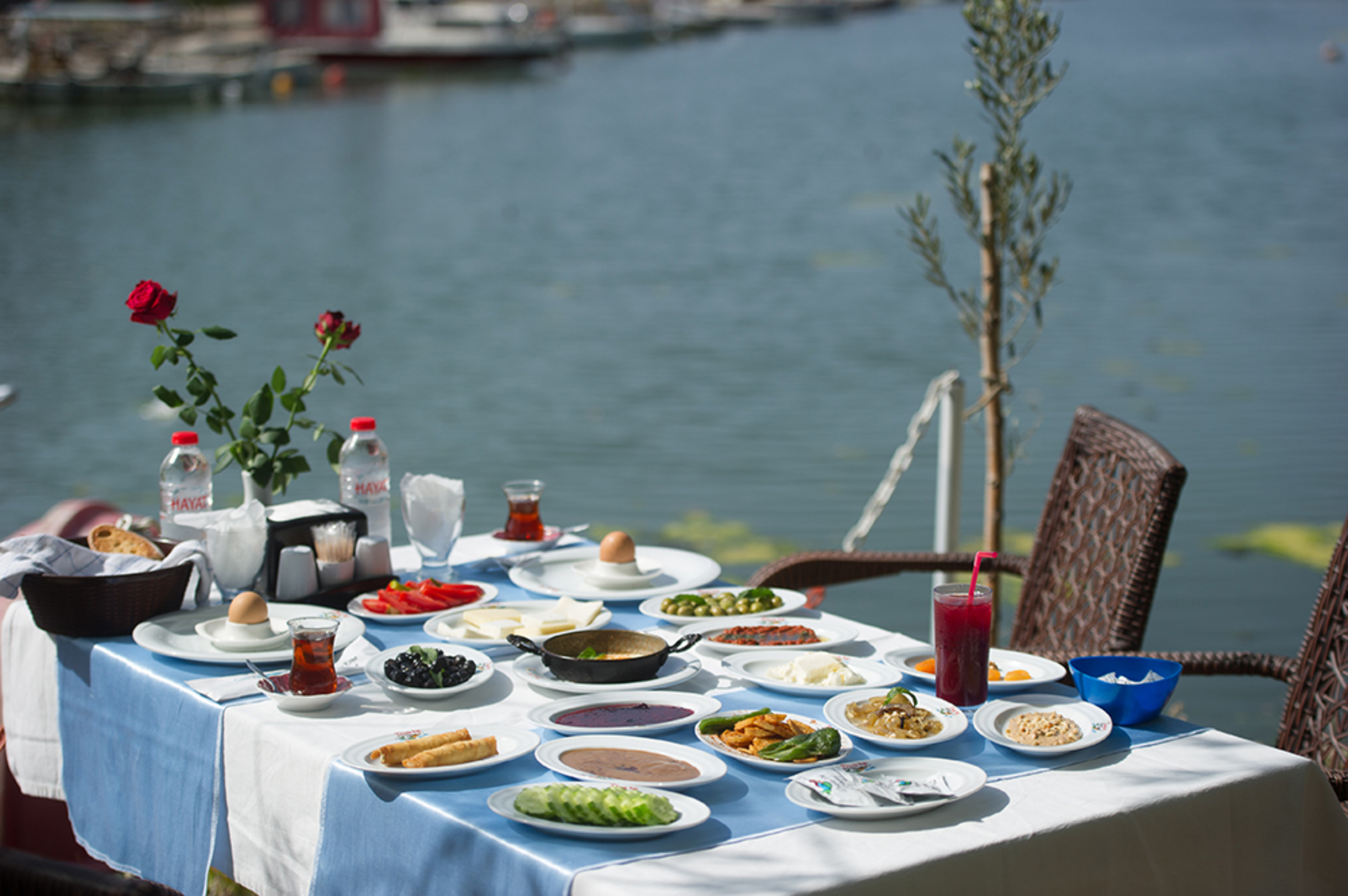 Deniz Kızı Green Garden Foto 2