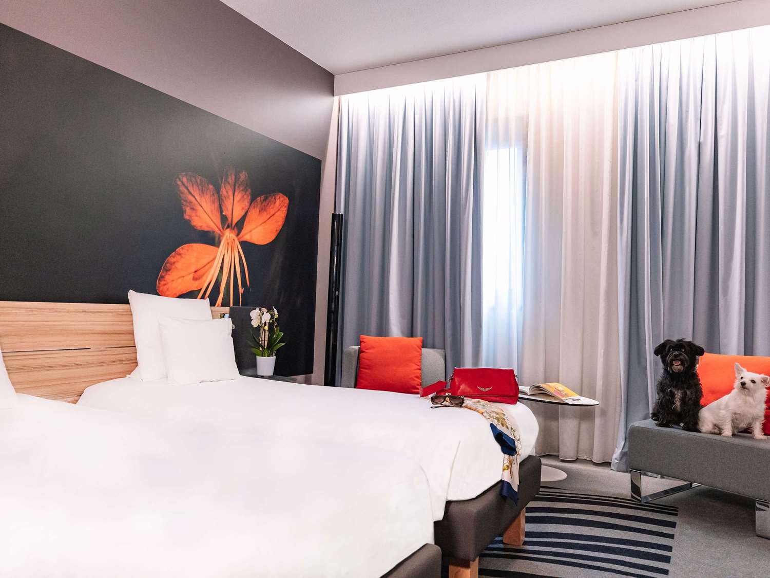 Twin room, superior