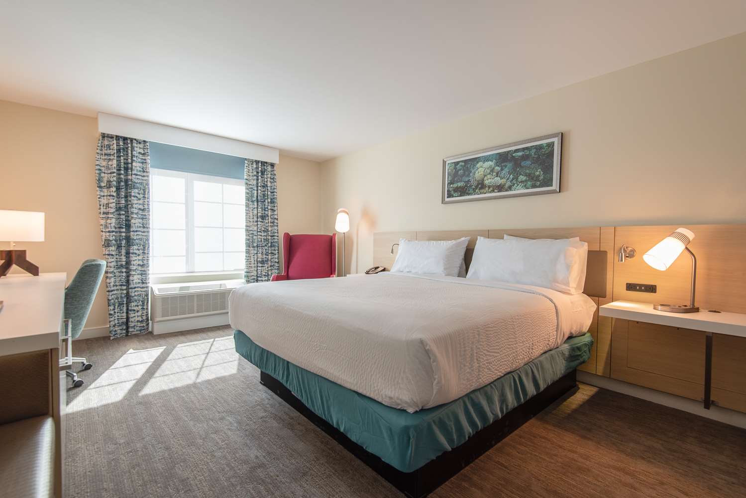 1 king bed deluxe