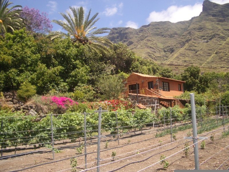 

Roma - La Gomera - del Lomo