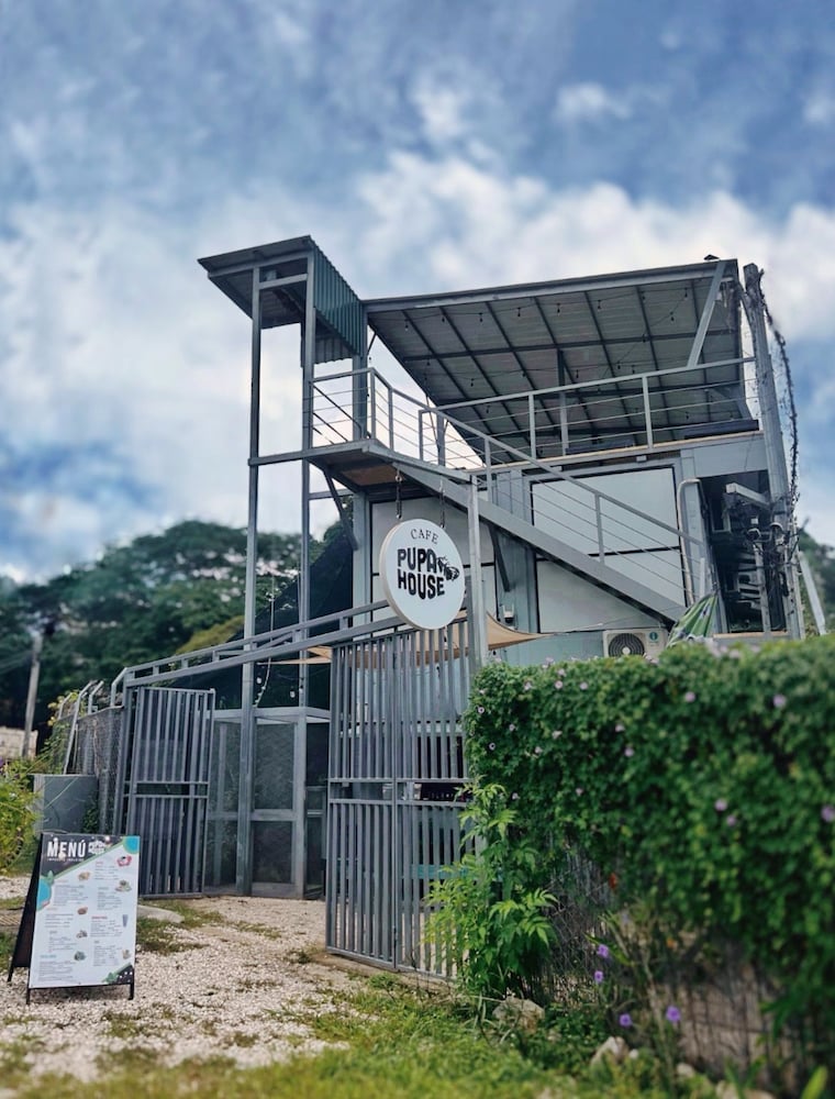 

Venezia - Tamarindo - Pupa House