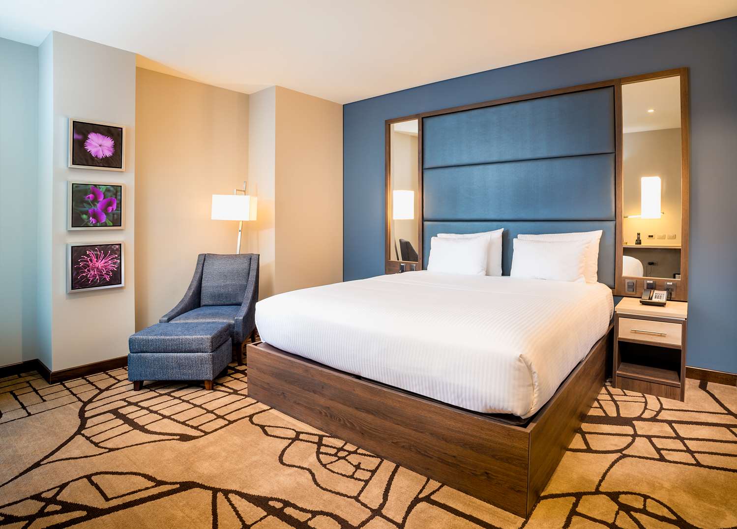 1 dormitorio suite