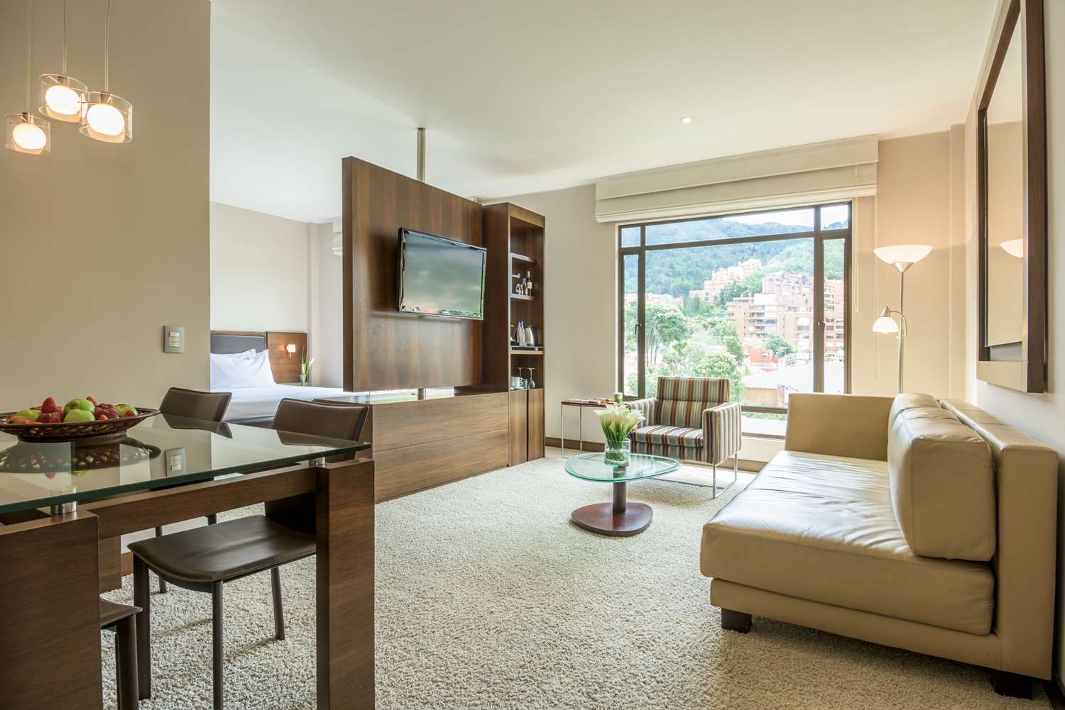 Junior suite with terrace