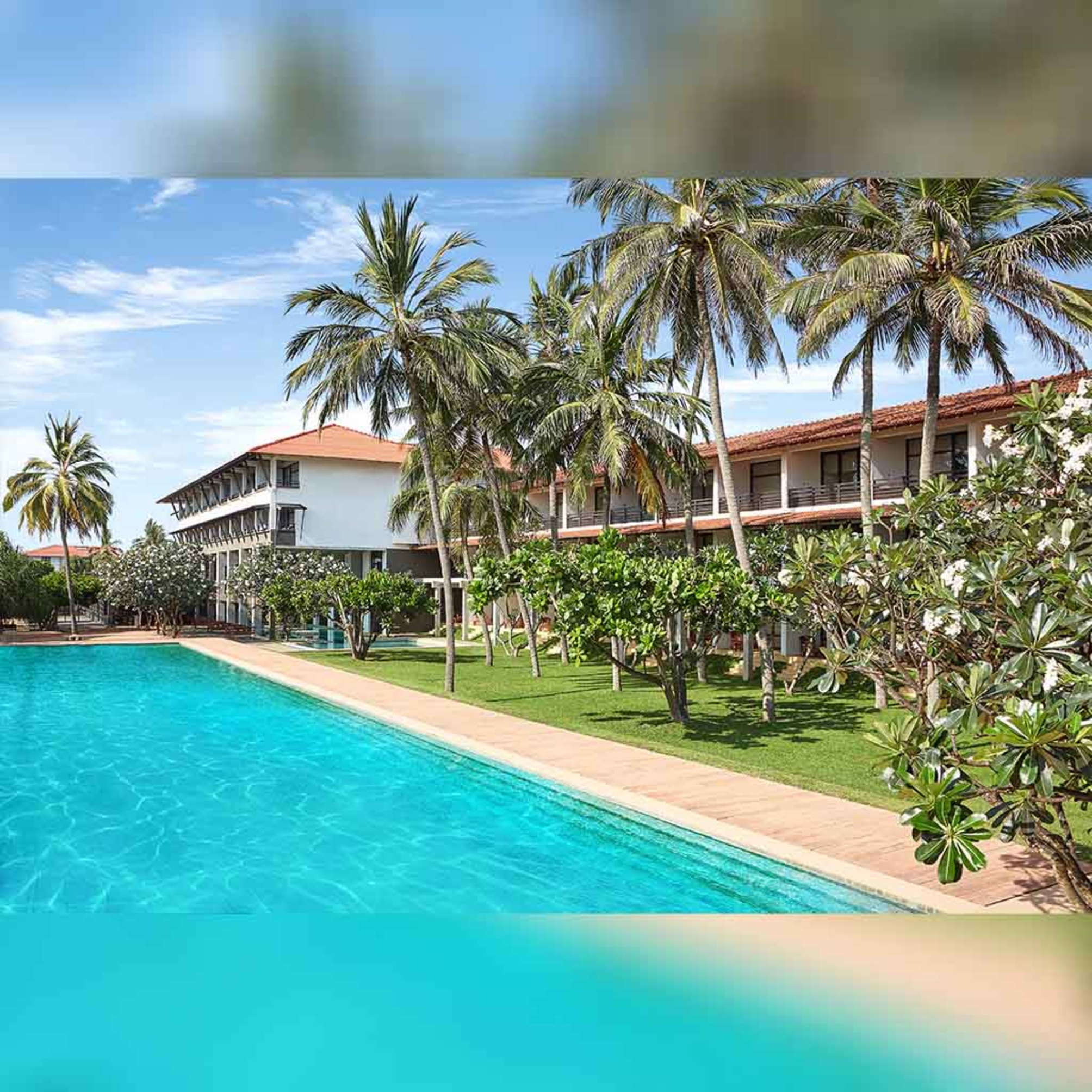 

Roma - Negombo - Jetwing Beach