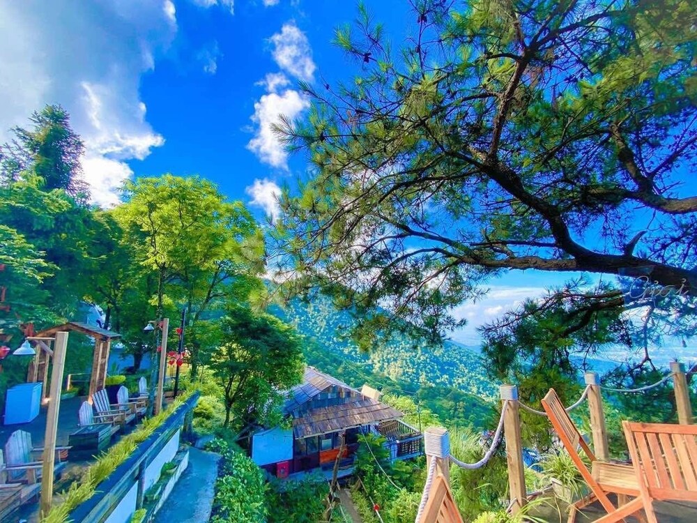 Mo Mang House Tam Đao