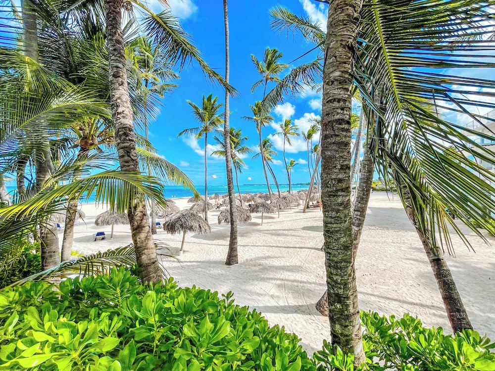 Napoli - Punta Cana - DELUXE STUDIOS HOTEL POOL AND BEACH