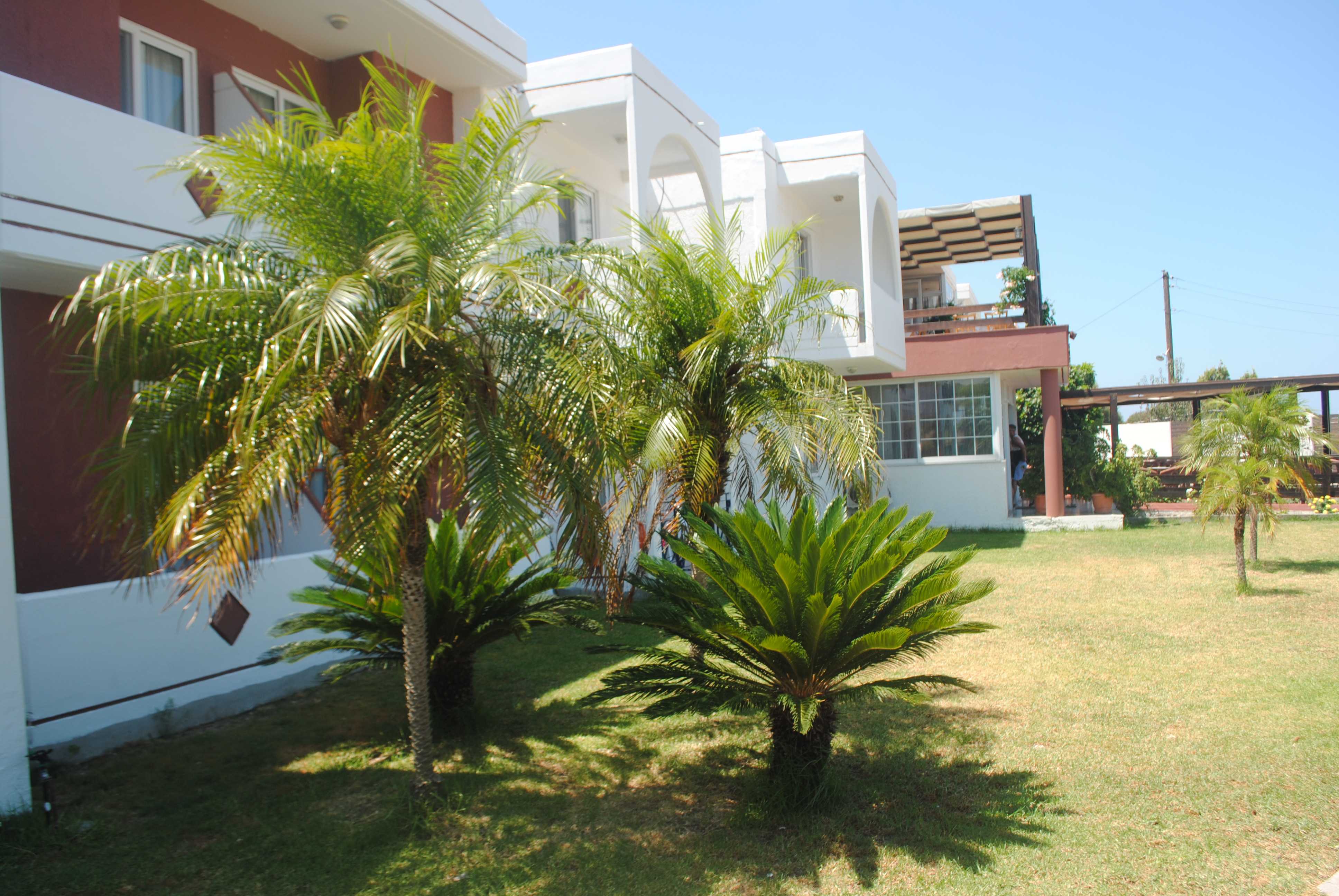 Summer Dream Hotel By Anayia All Inclusive Resorts