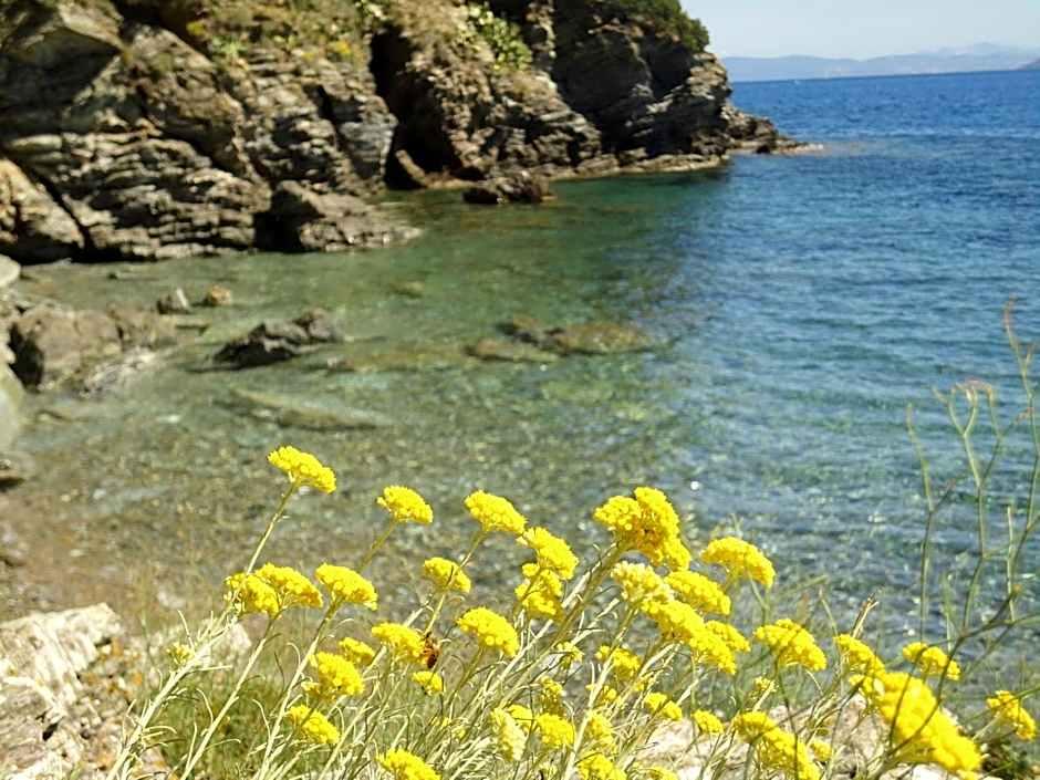 Hotel Rio Sul Mare