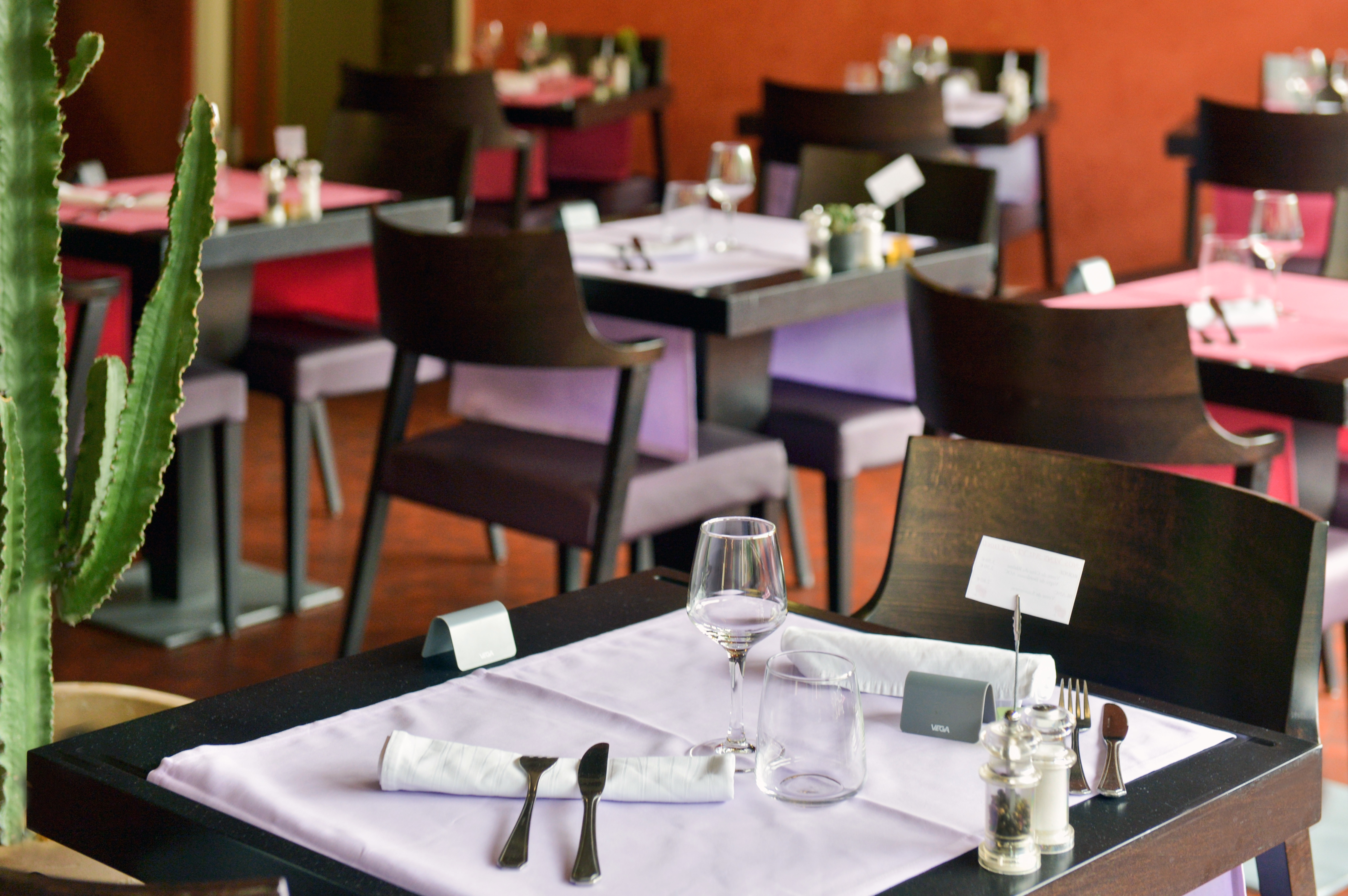 Contact Hotel Le Moulin Neuf Chantonnay