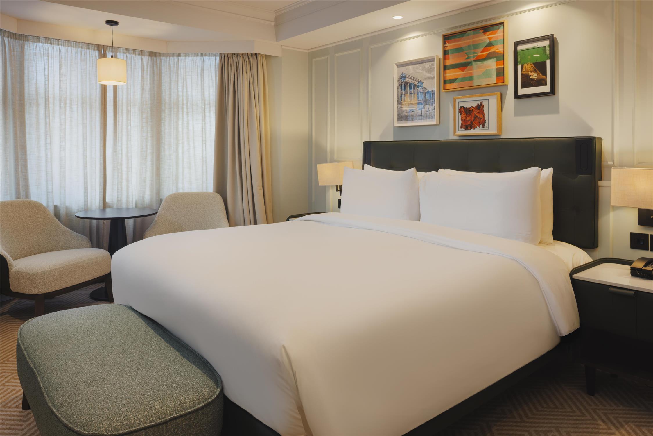 Premium king room

