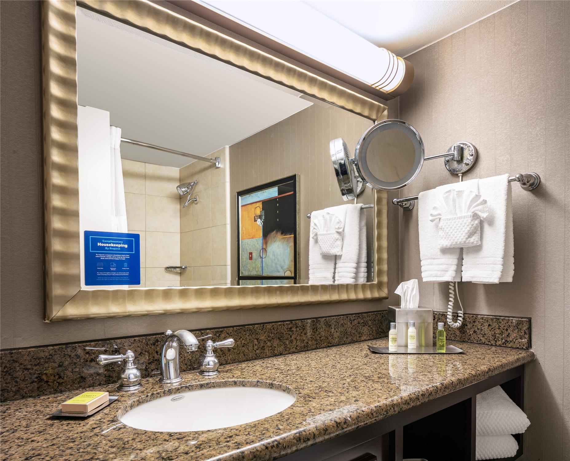 1 king bed junior suite