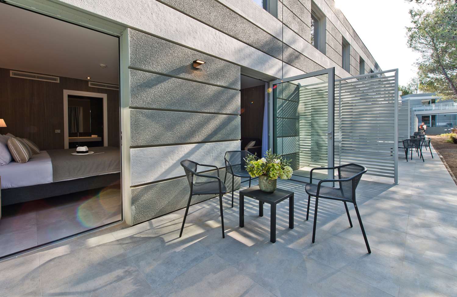 Supérieur(e) Chambre avec Terrasse