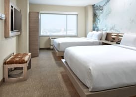 Anaheim Resort Suites 5