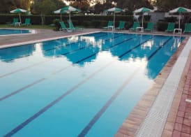 Pylea Beach Hotel 5