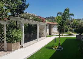 Palm Village 5