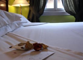Hotel Albani Firenze 4