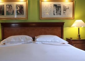 Hotel Albani Firenze 3
