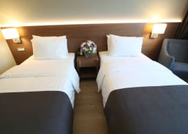Holiday Inn BURSA - CITY CENTRE by IHG 4
