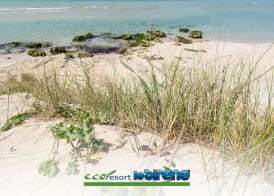 Ecoresort Le Sirene - Caroli Hotels 4