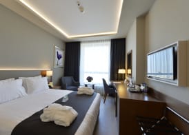 Holiday Inn BURSA - CITY CENTRE by IHG 3