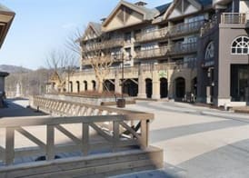 Holiday Inn & Suites ALPENSIA PYEONGCHANG by IHG 3