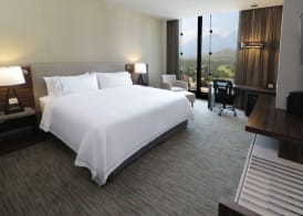 Holiday Inn Express & Suites Monterrey Valle by IHG 2