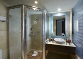 Hard Rock Hotel Vallarta All Inclusive 2