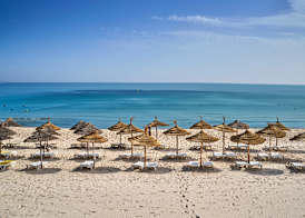 Palm Beach Skanes 2