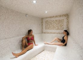 Mercure Hotel & Spa Bastia Biguglia 5