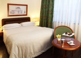 Starhotels Business Palace 4