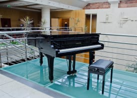 VIP Executive Entrecampos Hotel & Conference 3